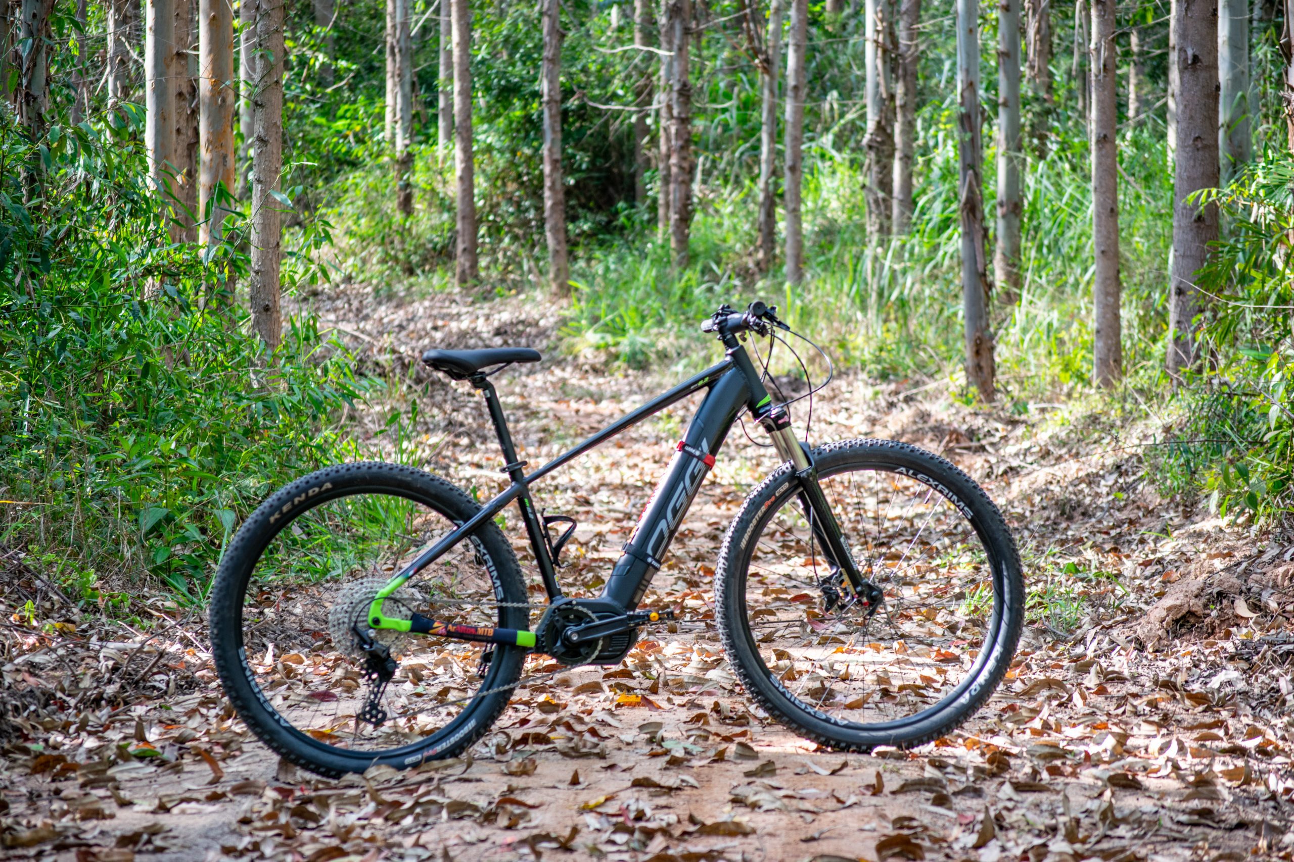 Capa de Bike Elétrica OGGI Big Wheel 8.2 2025