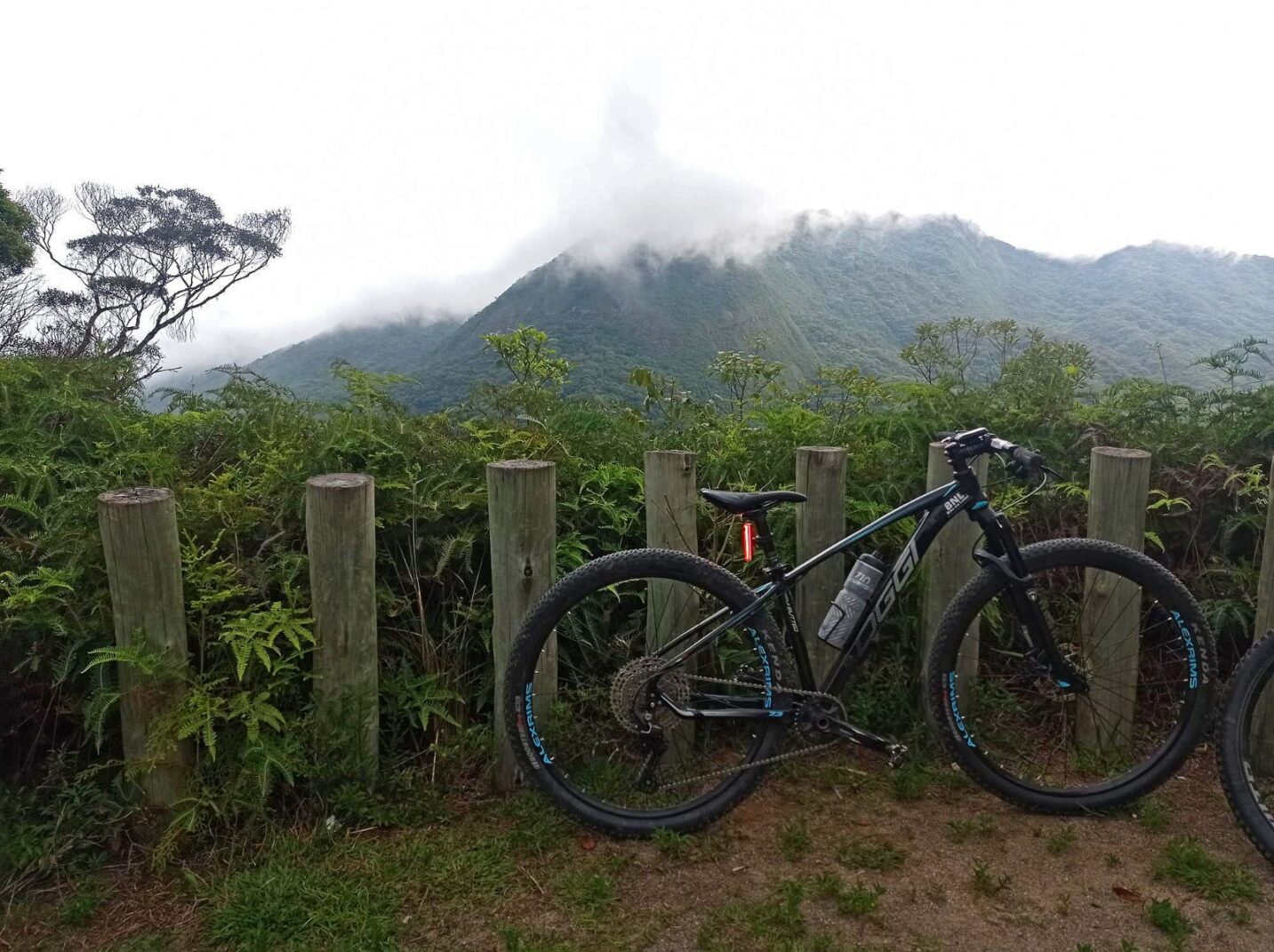 mountain bike na estrada da petrobrás na serra do mar