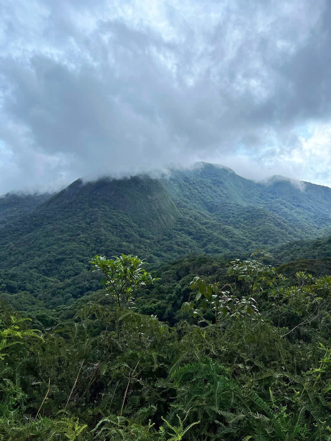 vista da serra do mar a partir da estrada da petrobras