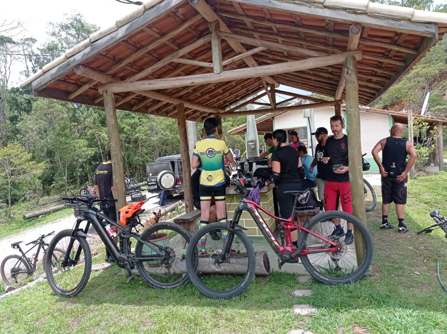 ciclistas na estrada da petrobras na serra do mar