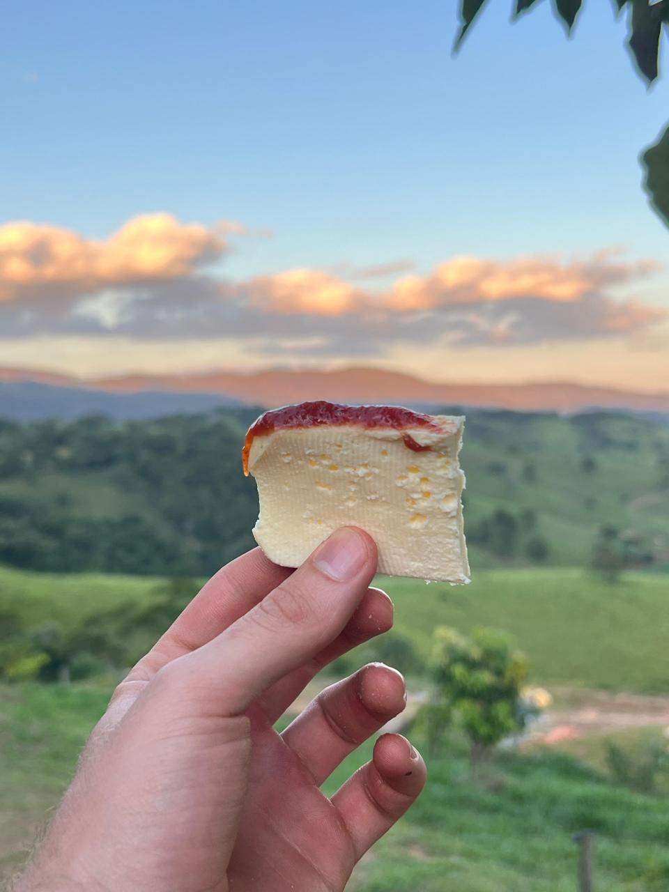 Uma mão segurando queijo da Serra da Canastra