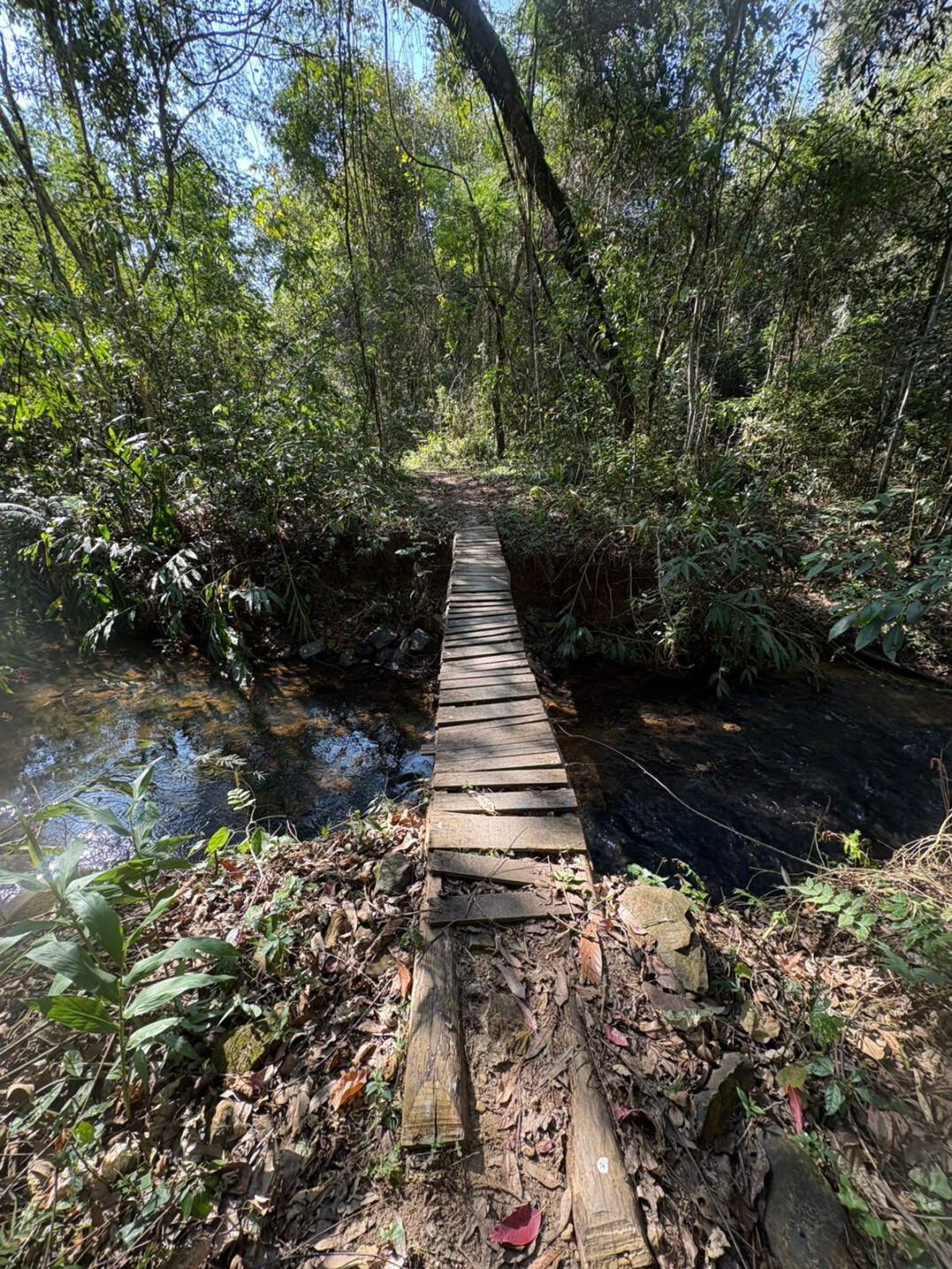 Ponte durante percurso de bike